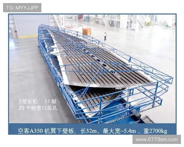 飞机机翼结构件的柔性工装设计